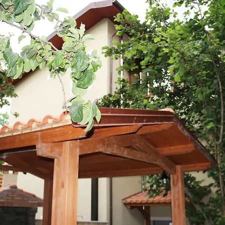 Il Giardino - Nocciolo Aritzo