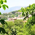 Il Giardino - Nocciolo