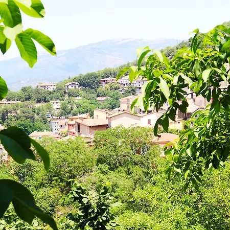 Casa Vacanze Il Giardino - Nocciolo