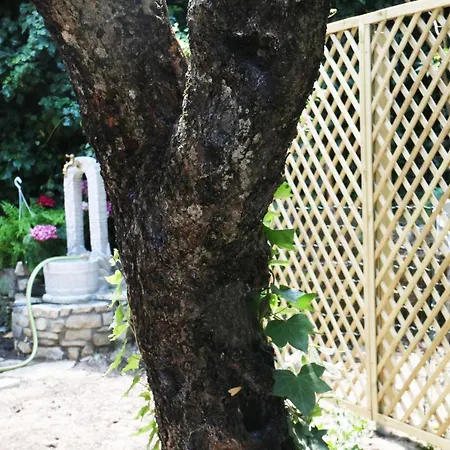 Il Giardino - Nocciolo Appartement *