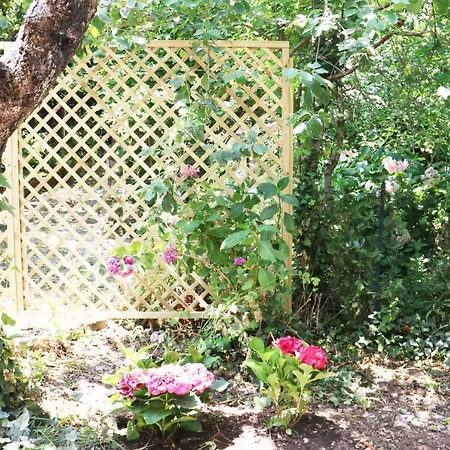 Apartamento Casa Vacanze Il Giardino - Nocciolo *